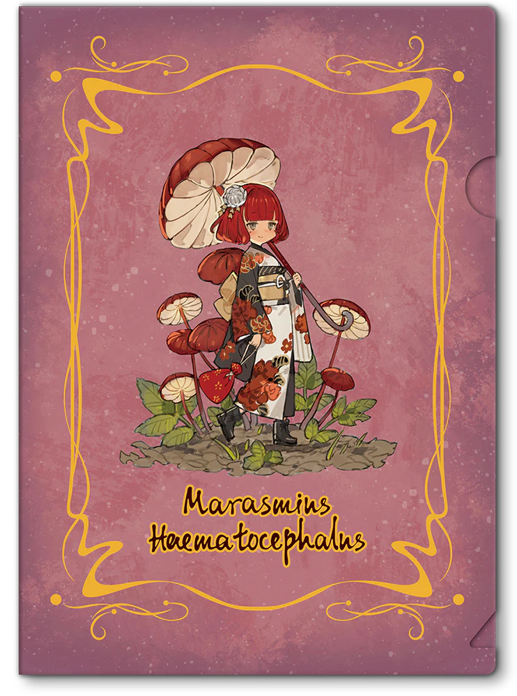 Thumbnail 14